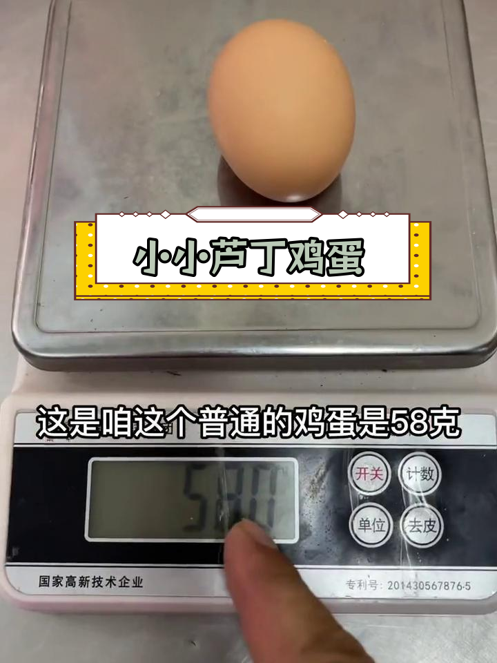 芦丁鸡蛋与普通鸡蛋的对比,迷你尺寸惊人
