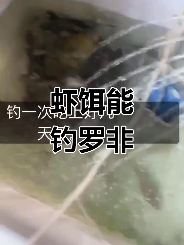钓虾技巧也能用于罗非鱼