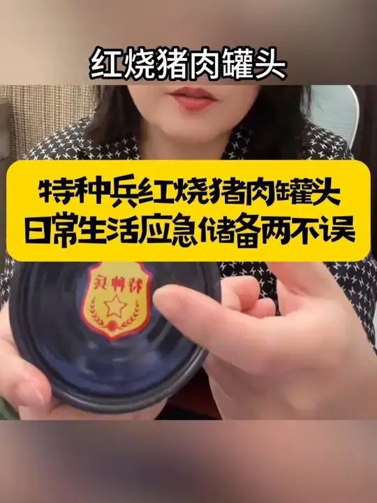 红烧猪肉肉罐头 好物推荐 猪肉罐头 罐头