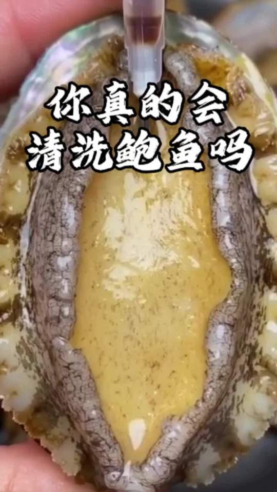 清洗鲍鱼别直接冲，教你正确方法洗得干净不腥