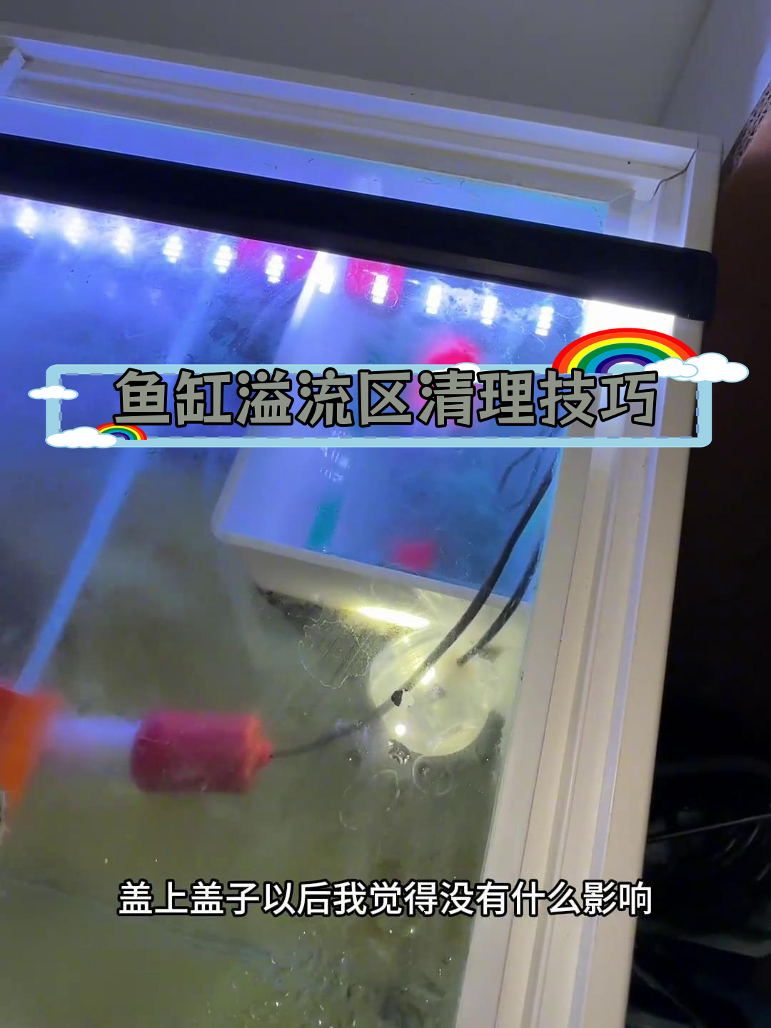 解决鱼缸溢流区藏便问题,避免随意拔管