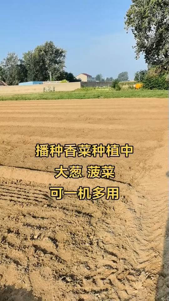 蔬菜播种机油菜菠菜香菜点播机