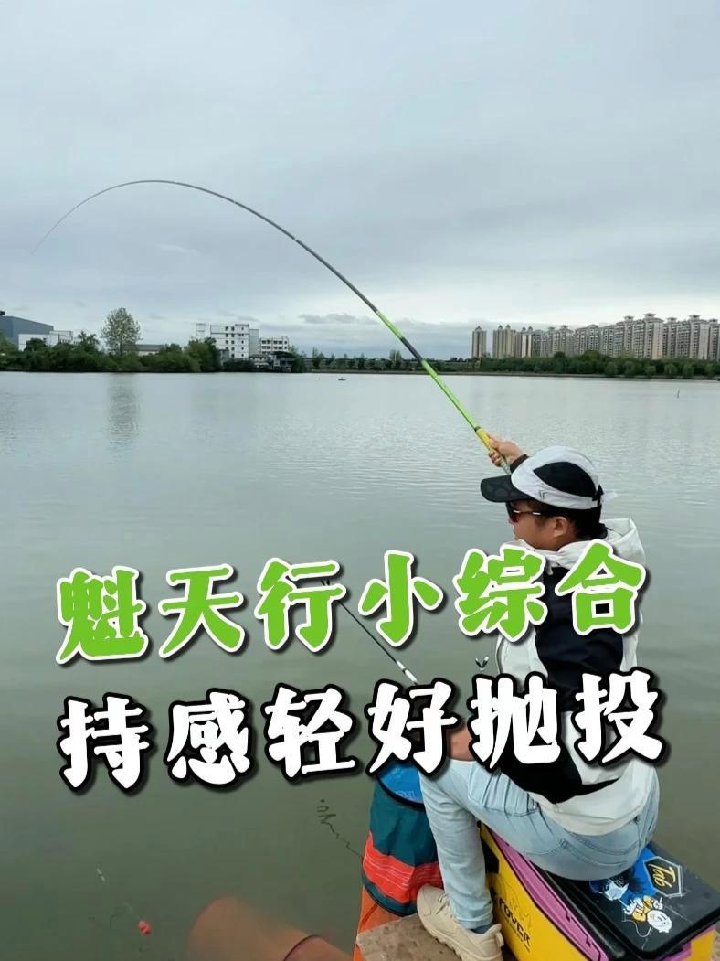 钓鱼王魁天行小综合,1700-2000G钓力值,7.2米168g,东丽46T+ M40x+