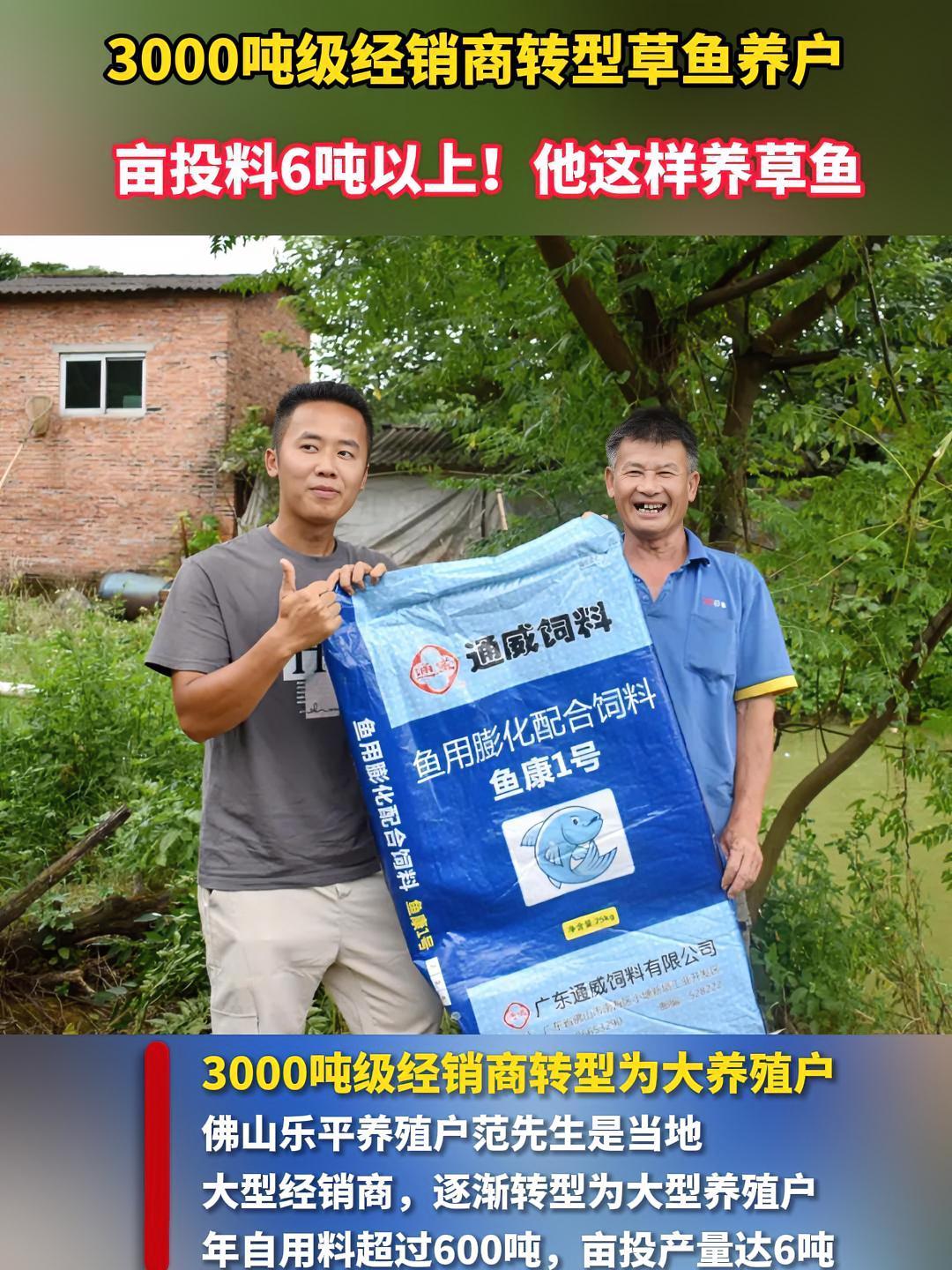 3000吨级经销商转型草鱼养户!亩投料6吨以上!他这样养草鱼 草鱼 通威 水产养殖