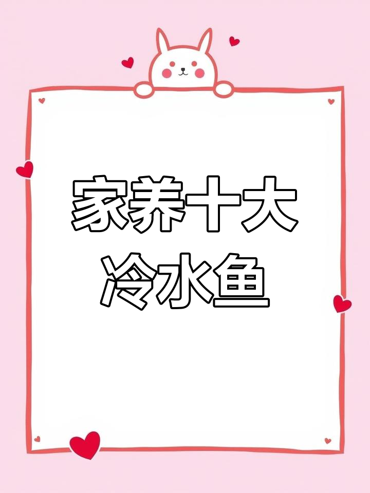 适合家养的十种小型冷水鱼,轻松上手!