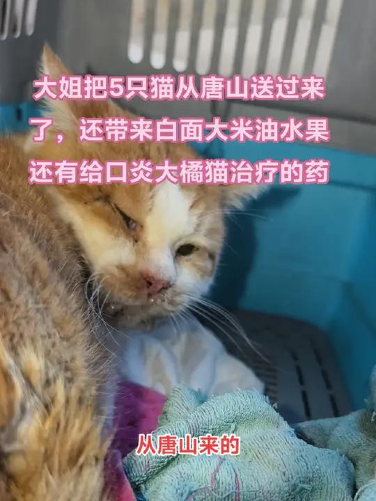 大姐说啥不让我拍她本人视频,真的太感动了大姐说经常看我发视频回我妈家,说是这些米面油给我老