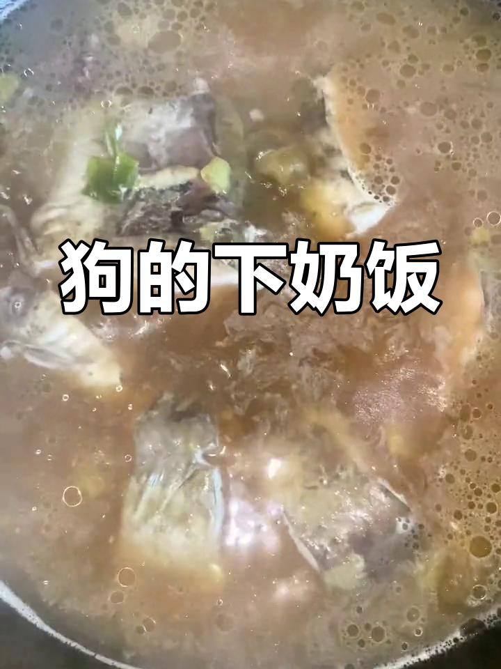 狗狗月子餐:鲶鱼汤的做法