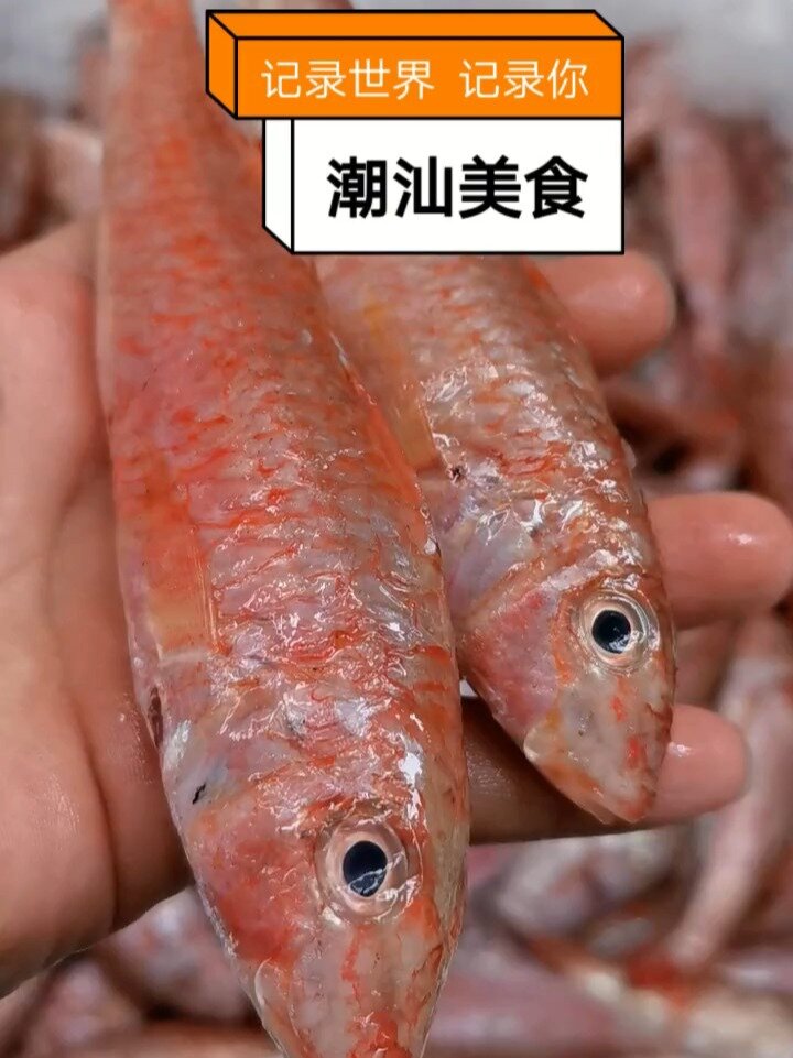 潮汕野生小红鱼,怎么做都好吃的平民海鲜