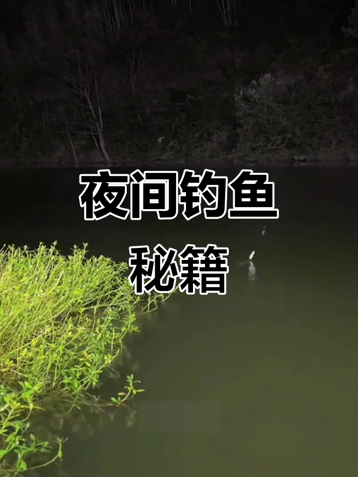 夏季夜钓必选位置，轻松上鱼，连杆爆护！