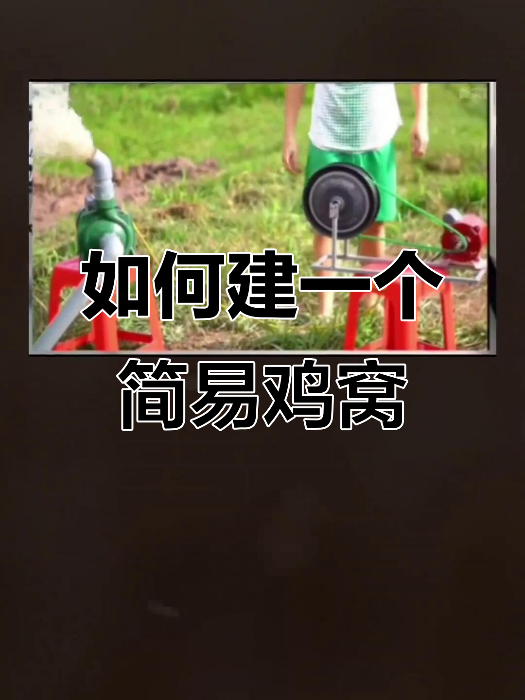 搭建鸡窝全攻略,简单又实用