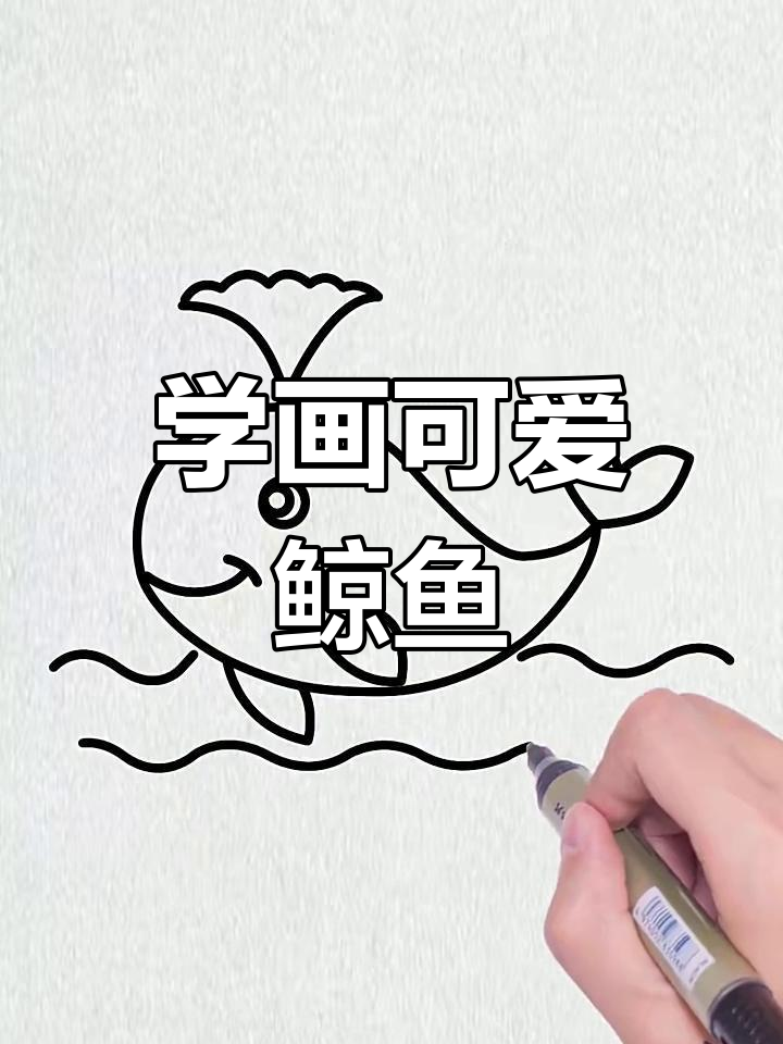 轻松学画鲸鱼,步骤简单又有趣