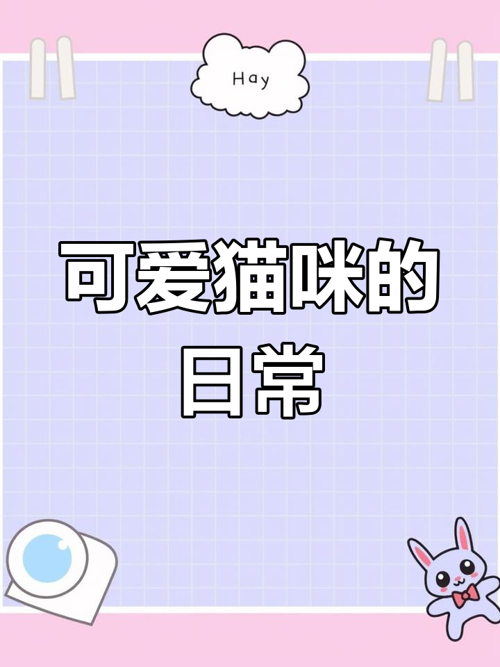 猫咪泡芙的萌宠日常,主人超疼爱