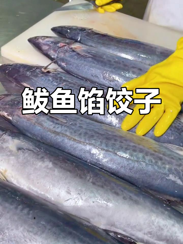 渤海湾深海鲅鱼饺子,鲜美多汁又简单