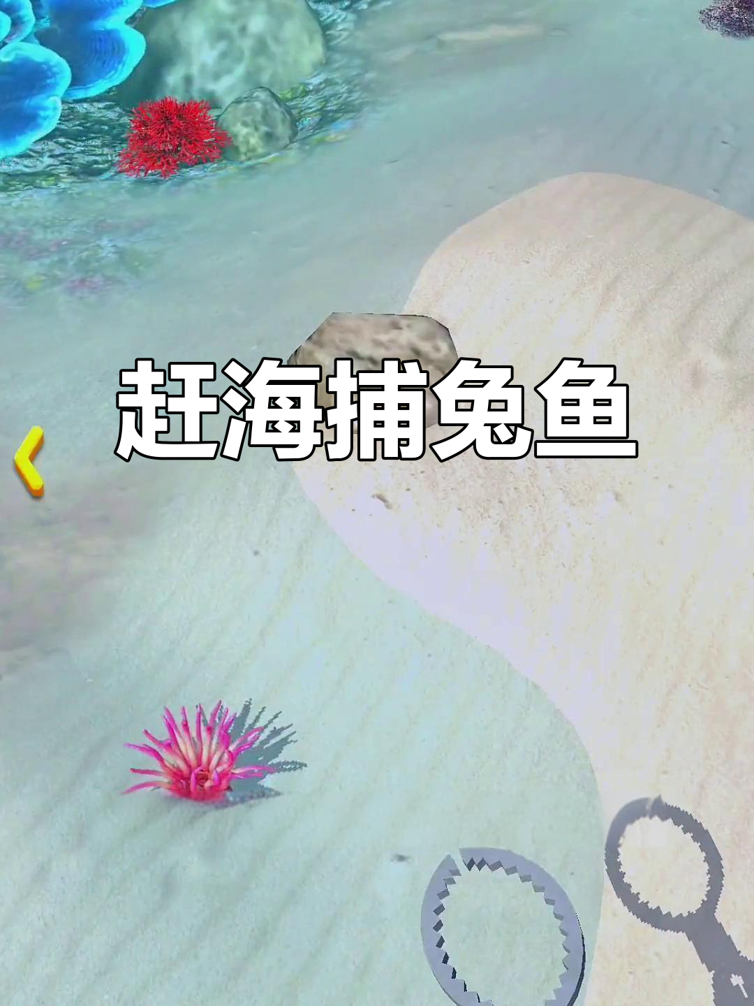 赶海抓鱼大作战,兔子鱼跳舞惊艳男生!