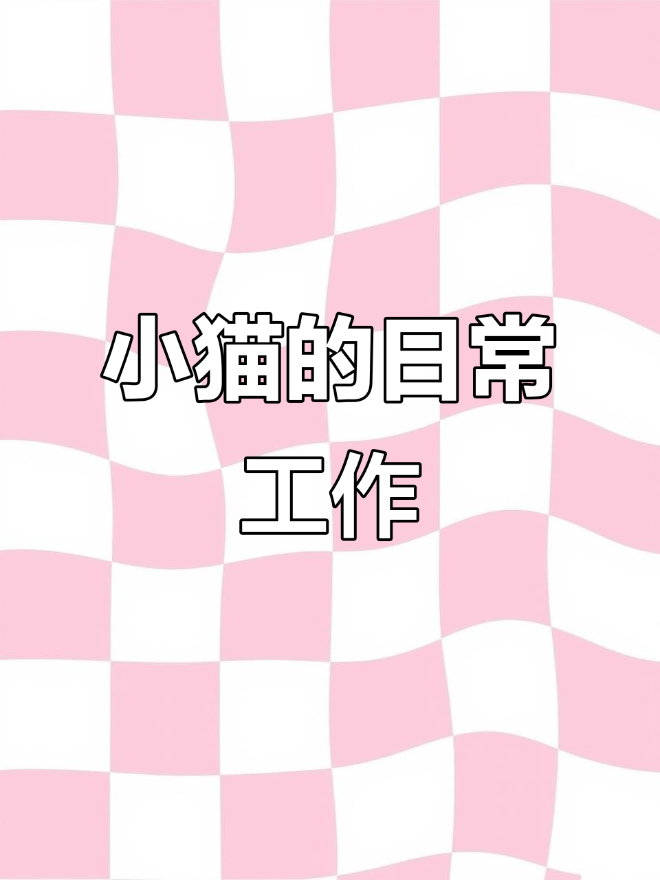 猫咪上班日常：泡芙的完美早餐与巡逻时光