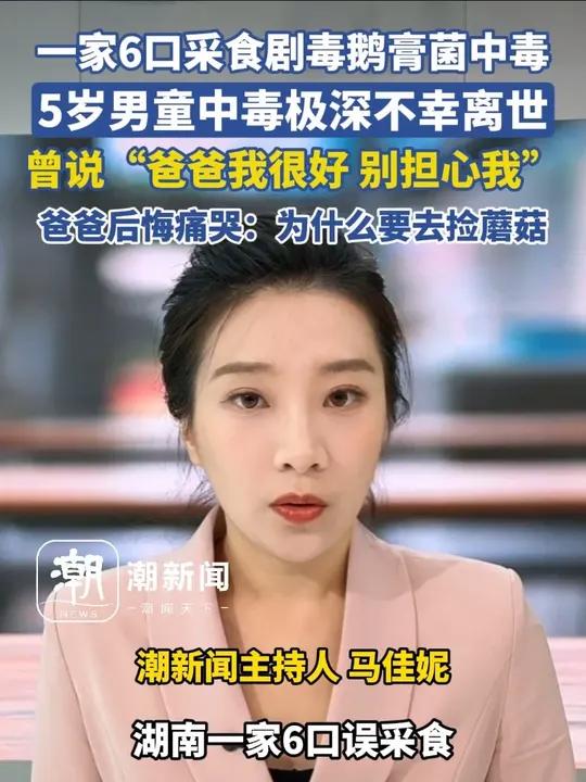 一家6口采食剧毒鹅膏菌中毒,5岁男童中毒极深不幸离世,曾说“爸爸我很好,别担心我”