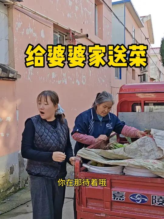 给婆婆家送菜 父母的爱永远都是喋喋不休和唠叨中,展现的淋漓尽致,总想着不给我们添负担,减轻