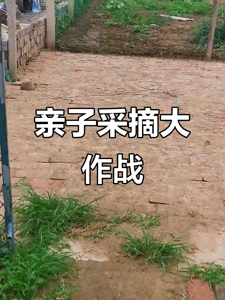 北京私家菜园亲子体验,采摘乐趣多