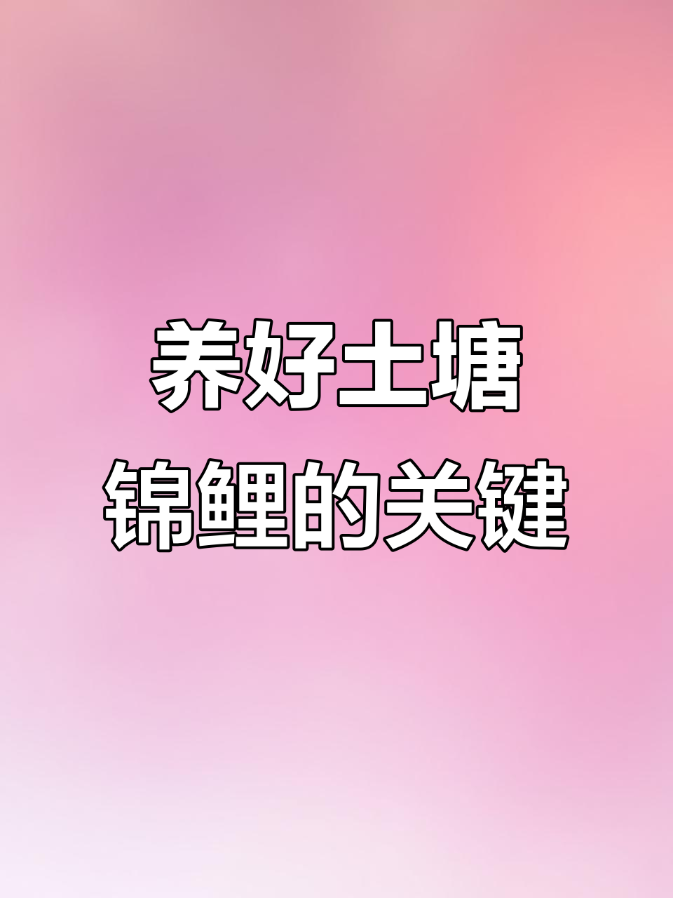 土塘锦鲤养殖技巧:选址、选鱼苗、防病管理全攻略