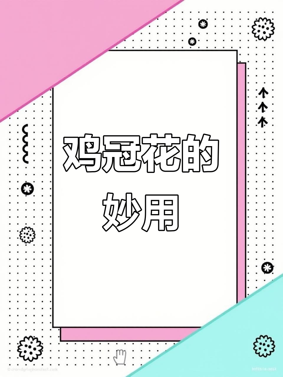 鸡冠花加生姜红糖煮水,竟有神奇作用!