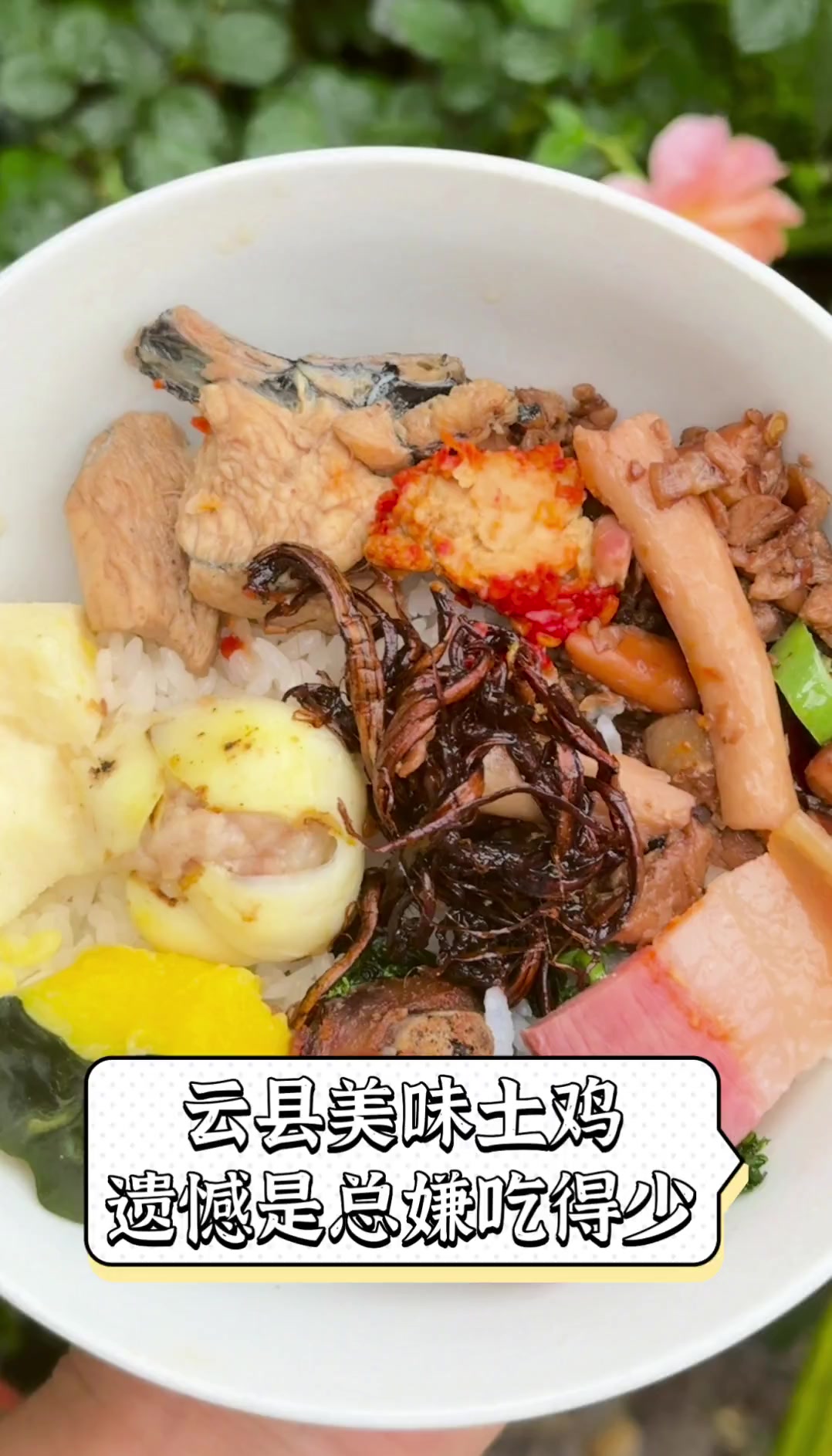 云县美味土鸡,遗憾是总嫌吃得少