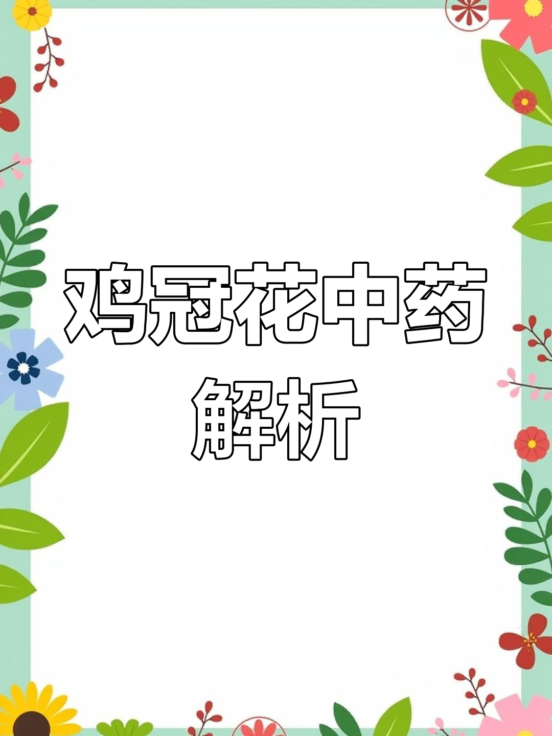 鸡冠花的药用功效与注意事项