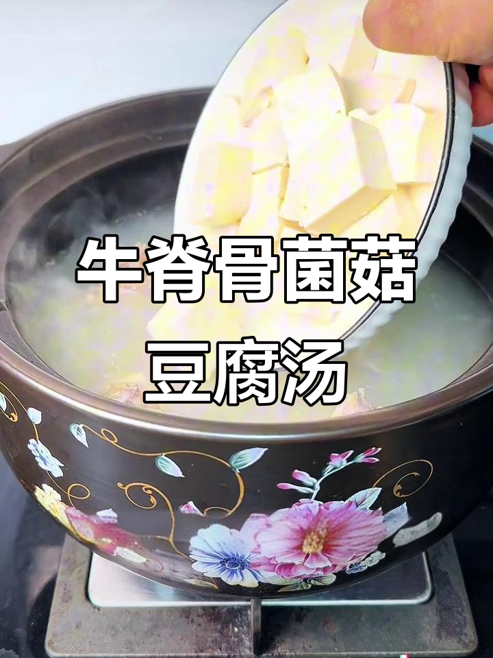 牛脊骨豆腐汤,鲜美又营养,牛肉软烂吸汁更美味