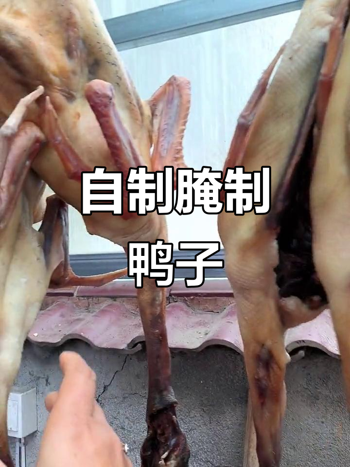 农家自腌咸鸭,风干美味做法大揭秘