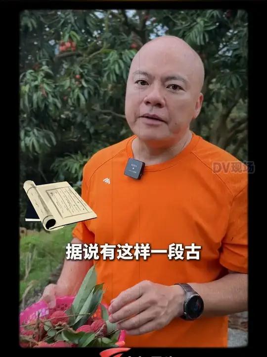 从宫廷贡品到荔枝自由!广东荔枝凭什么火出圈?