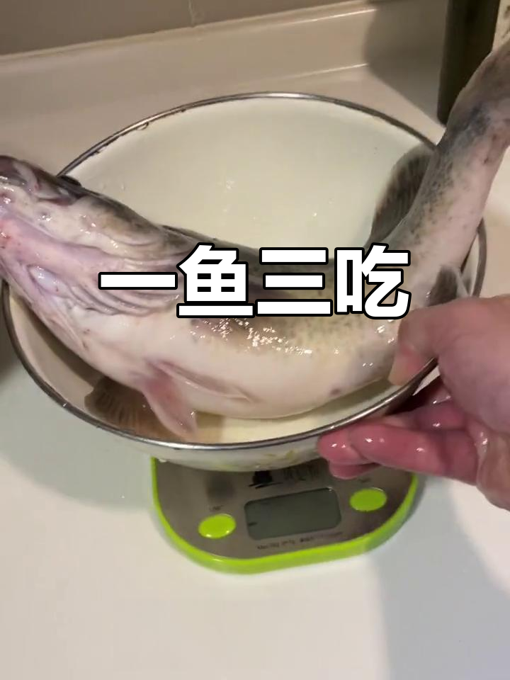 龙纹斑鱼三种吃法,简单烹饪尽显美味