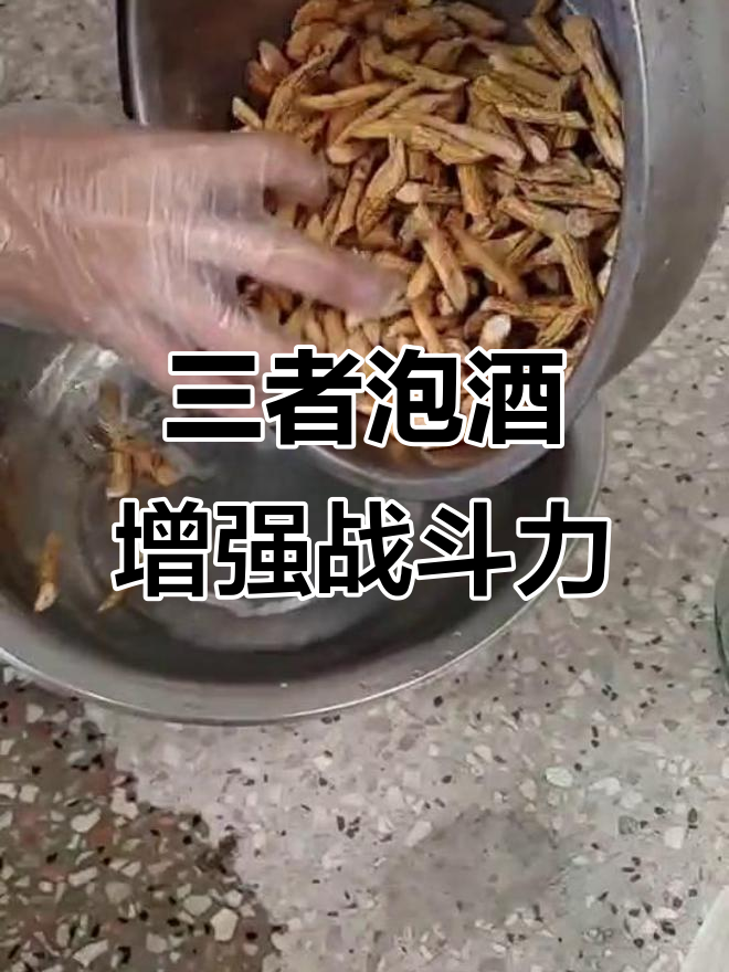 牛大力、巴戟天与枸杞泡酒,补肾壮阳提高免疫力
