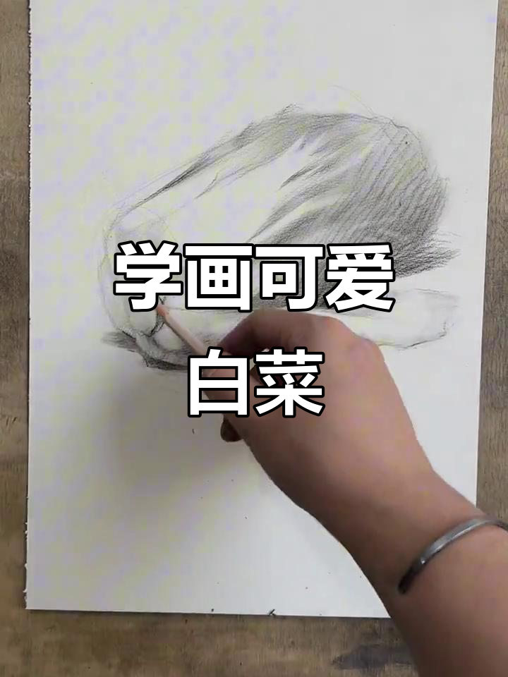 一步步教你画白菜，掌握素描技巧