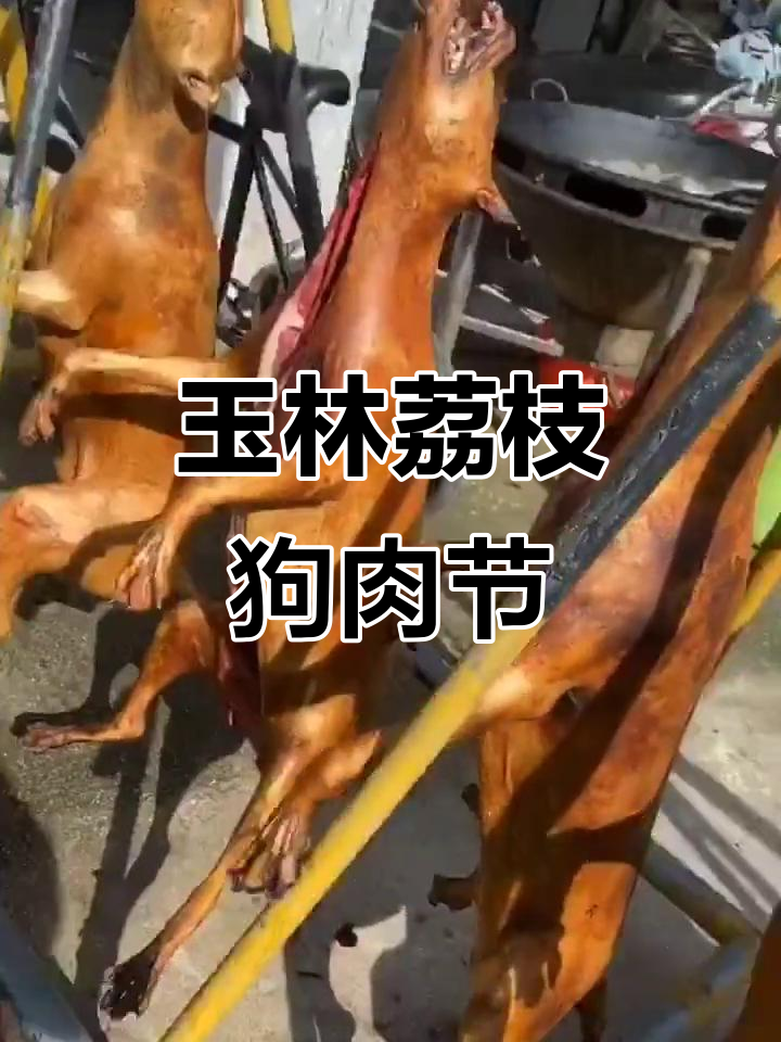 6月21日广西玉林夏至荔枝狗肉节盛宴