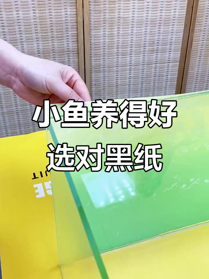 鱼缸必备!黑色背景让小鱼更美,气泡轻松排除