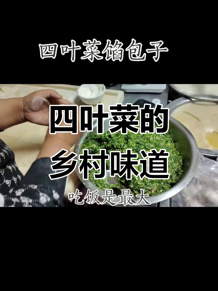 乡村四叶菜,纯天然美味等你来尝