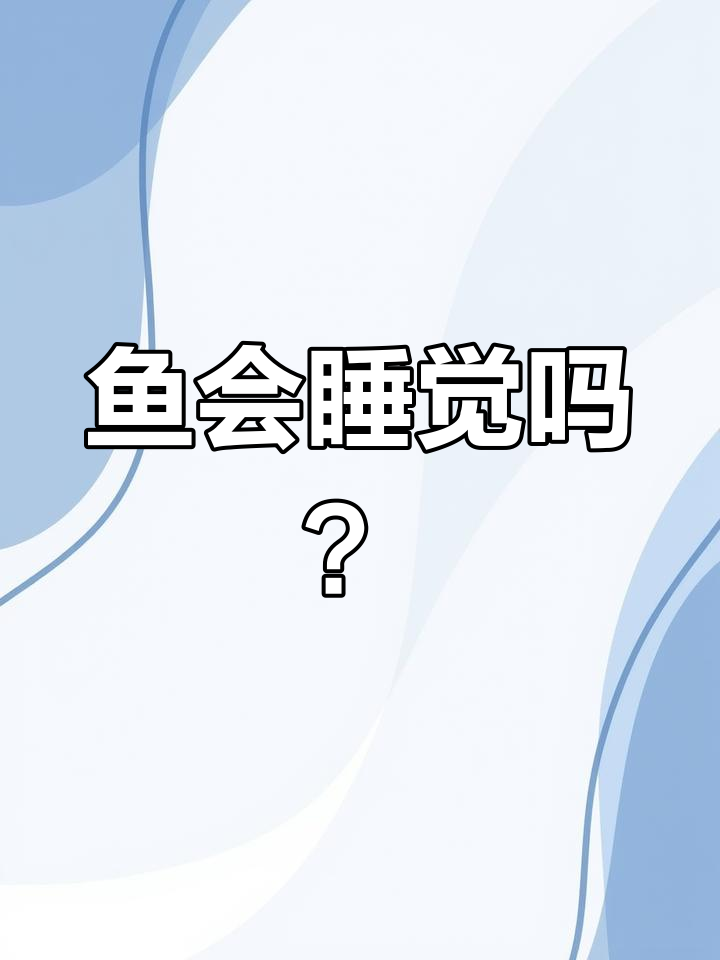 迷你鹦鹉鱼晚上竟然这样睡觉,真有趣!