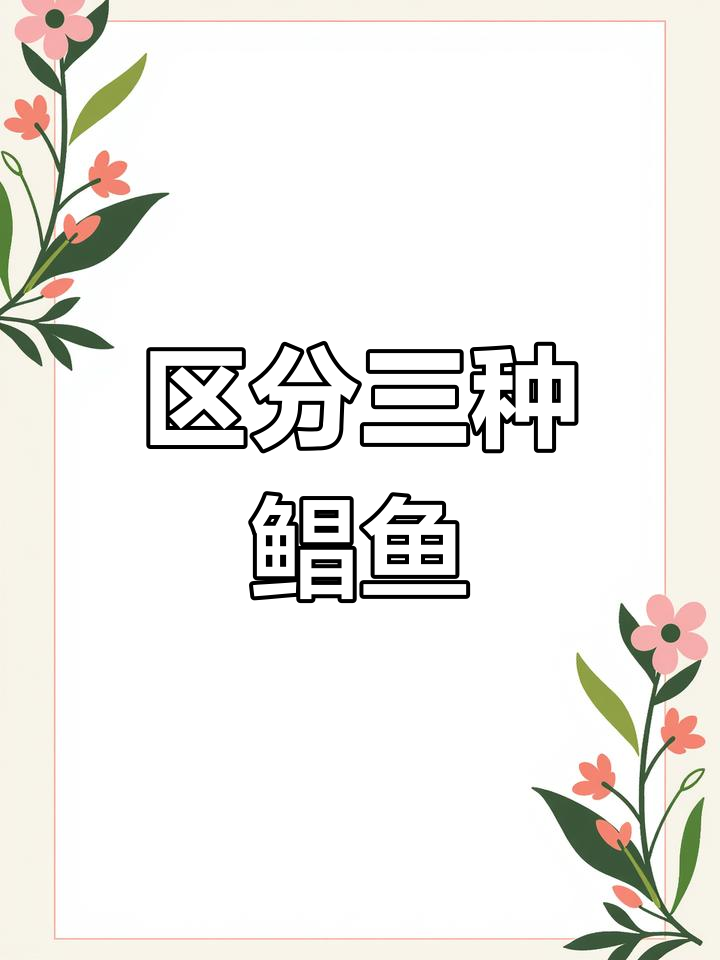 如何辨别银鲳鱼、金鲳鱼和乌鲳鱼的差异