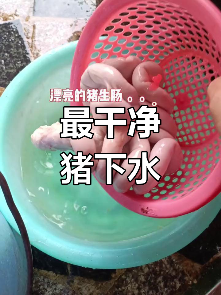 猪生肠:最干净的部位,你吃过吗?