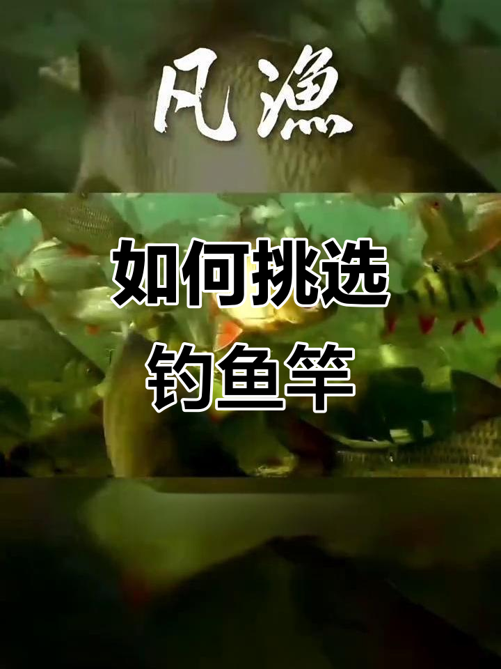 钓竿软硬如何选?从调性到硬度全解析
