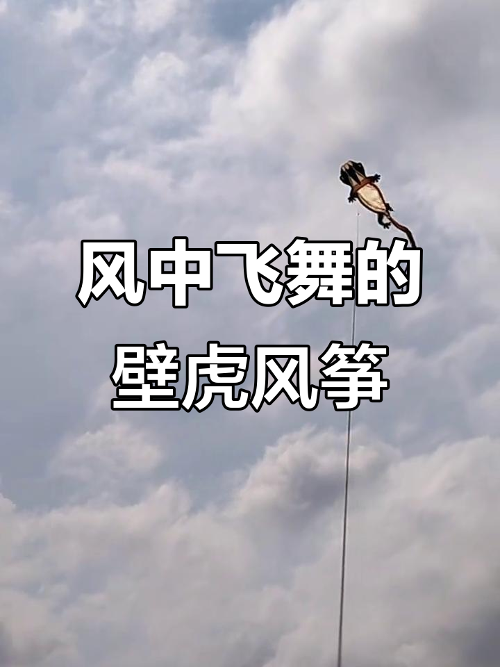 软体壁虎风筝放飞,风大更显美丽
