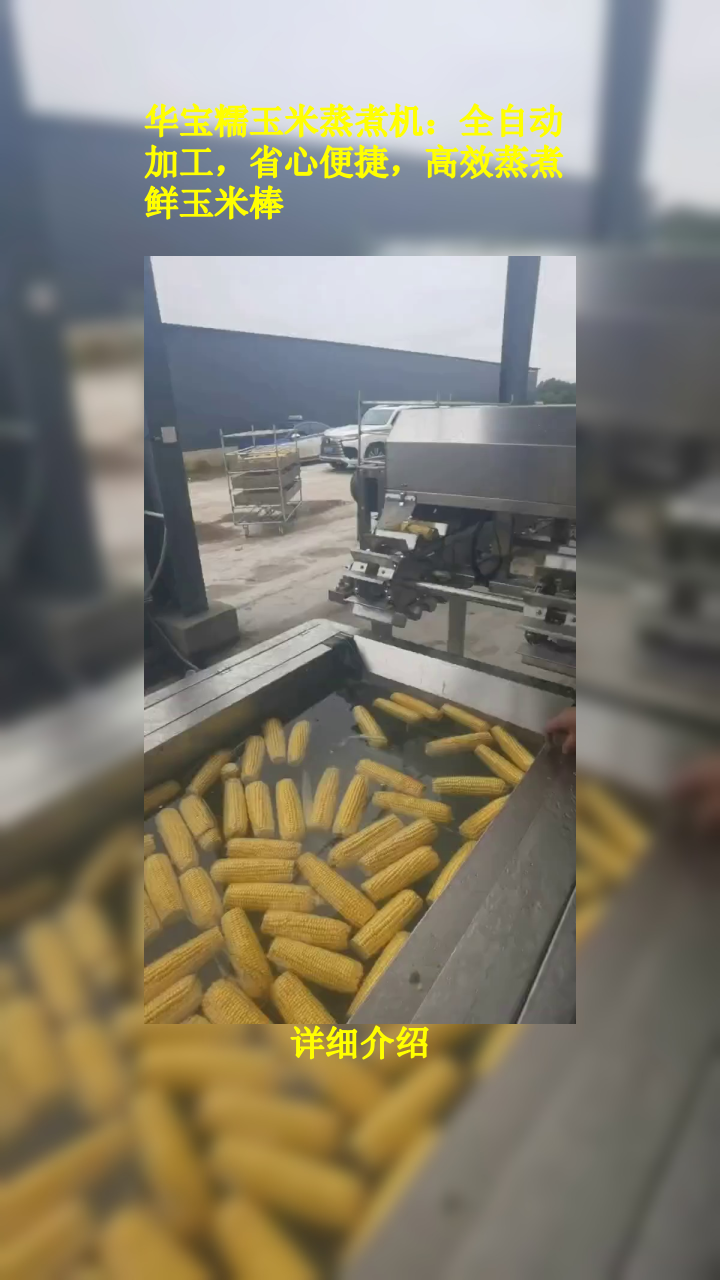 华宝糯玉米蒸煮机:全自动加工,省心便捷,高效蒸煮鲜玉米棒