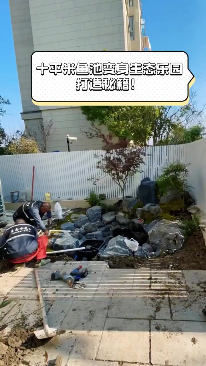 十平米鱼池变身生态乐园,打造秘籍!