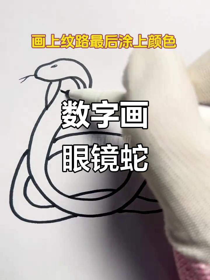 用数字轻松画出眼镜蛇,简单又有趣!