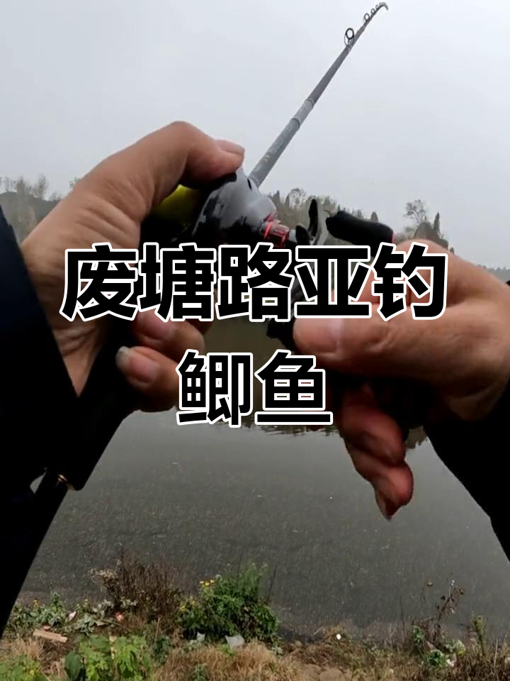 路亚竿活饵搜底挑战,废弃水库竟藏鲫鱼