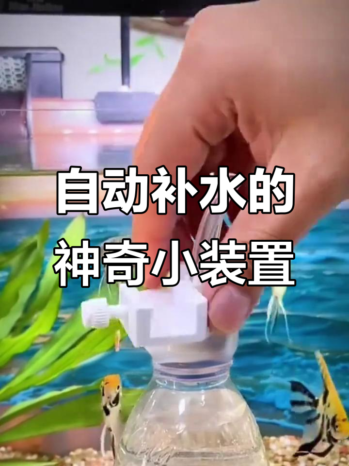 鱼缸自动补水器,假期无忧!
