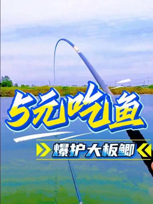 5元吃鱼，带粉丝体验爆护的一天，爆护了渔获满满