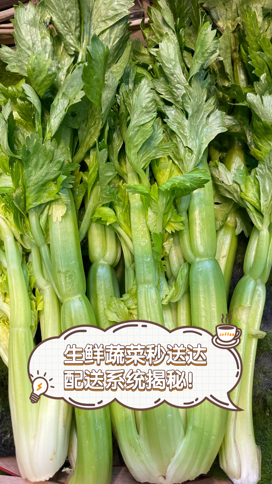 生鲜蔬菜秒送达,配送系统揭秘!
