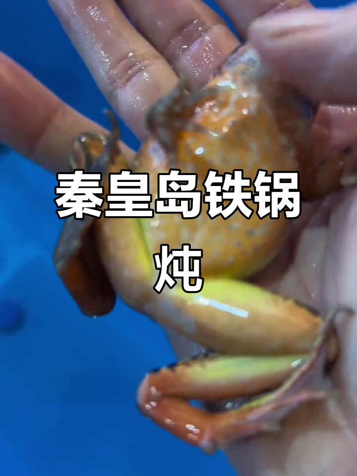 秦皇岛东北铁锅炖,回头客超多!这家店你吃过吗?