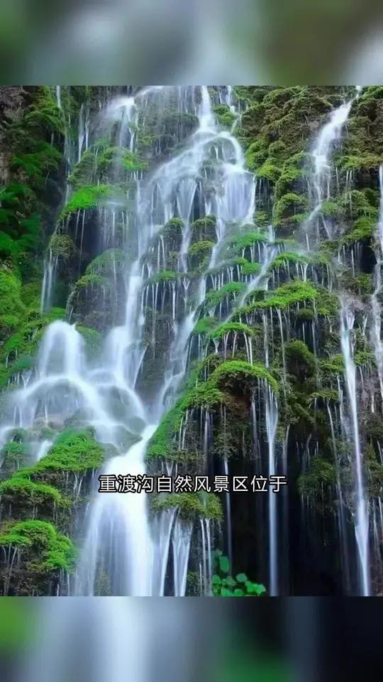 重渡沟自然风景区位于洛阳市栾川县潭头镇西南10公里的熊耳山,素有北国江南之美誉,区内竹茂林