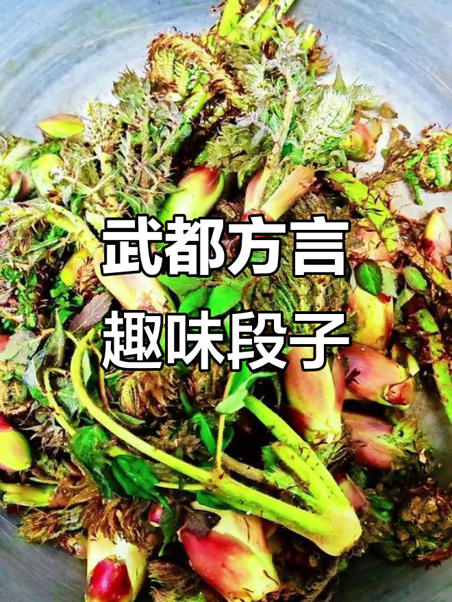 武都方言搞笑配音:研发木兰头,笑到不行!